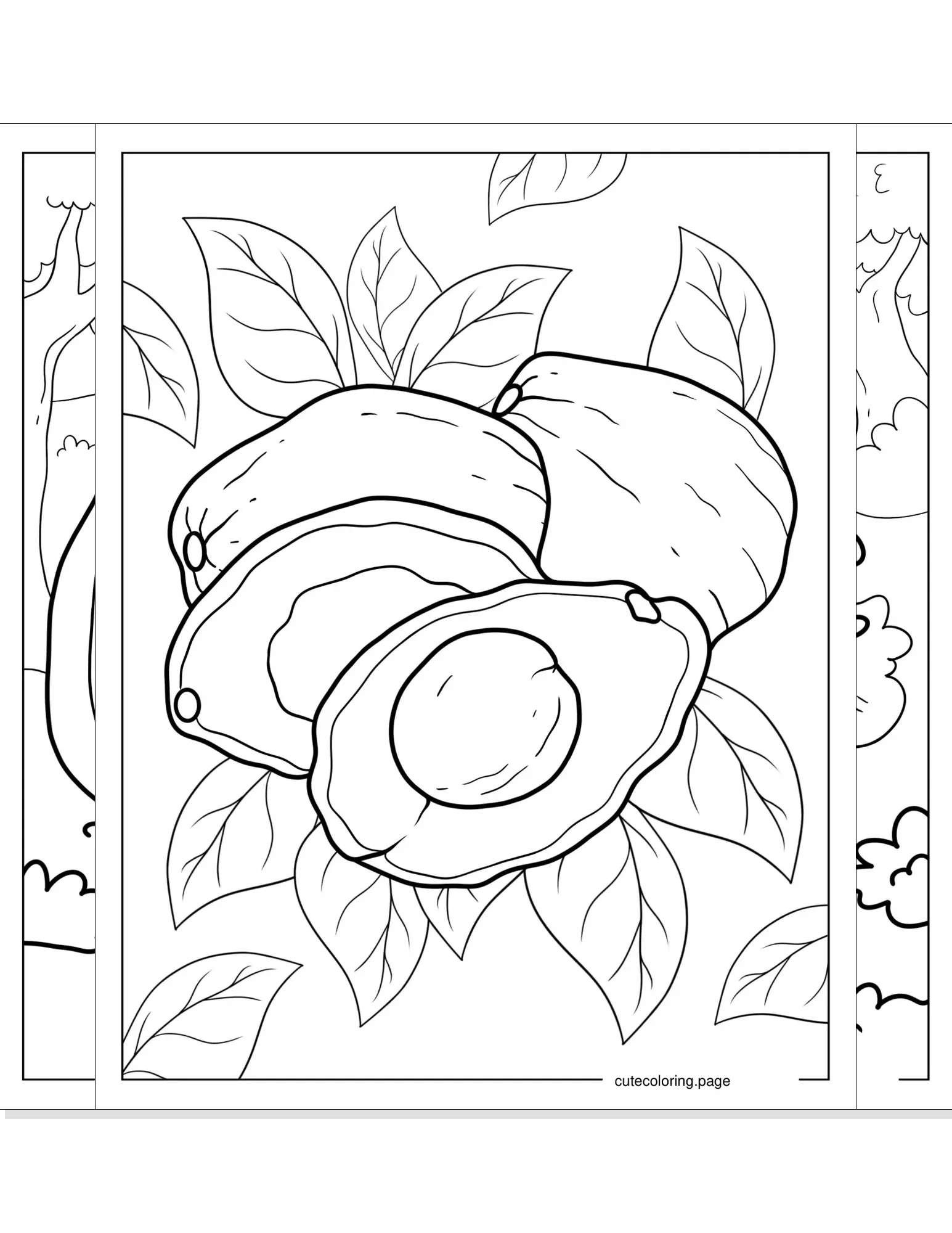 avocado coloring pages