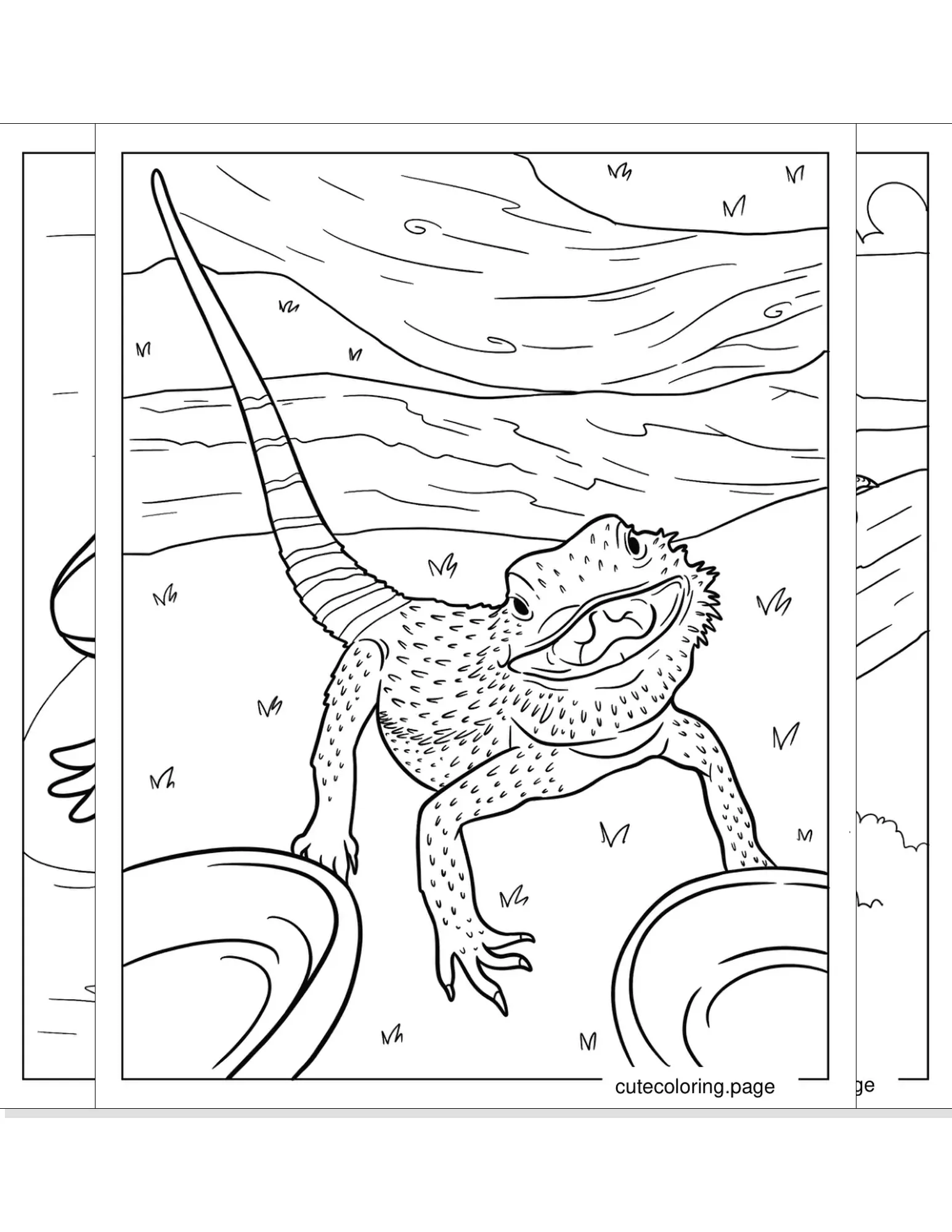 bearded dragon coloring pages