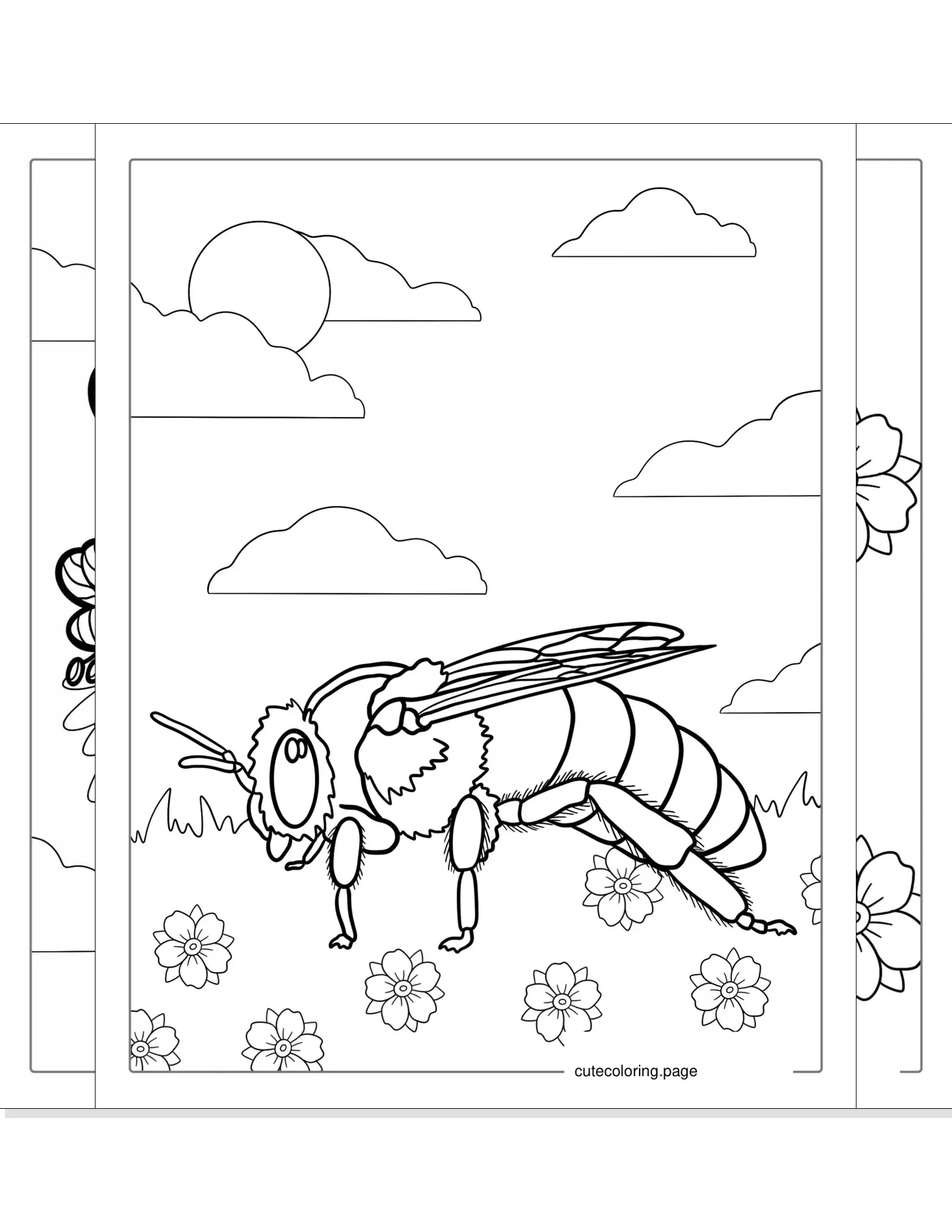 bee coloring pages