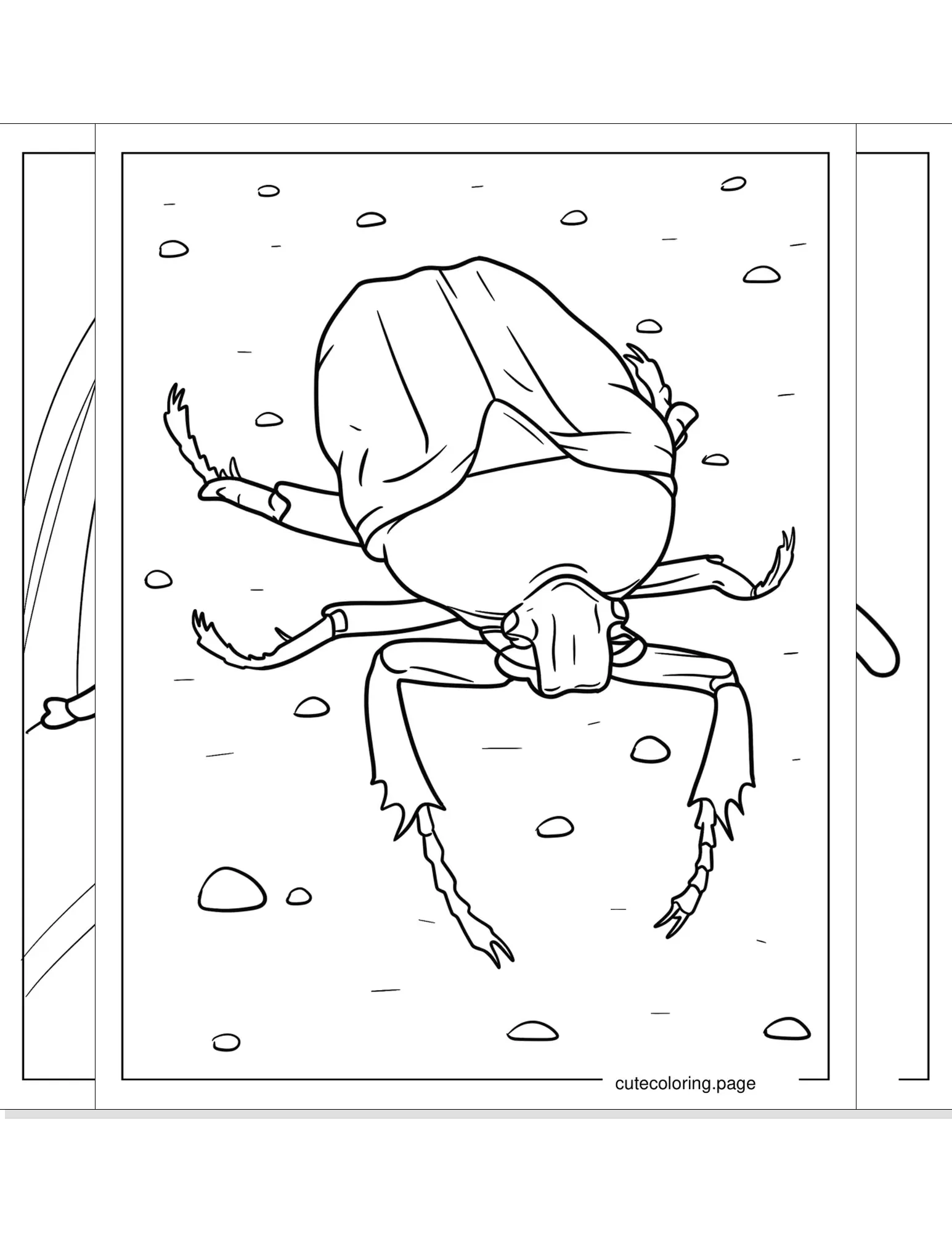 beetle coloring pages