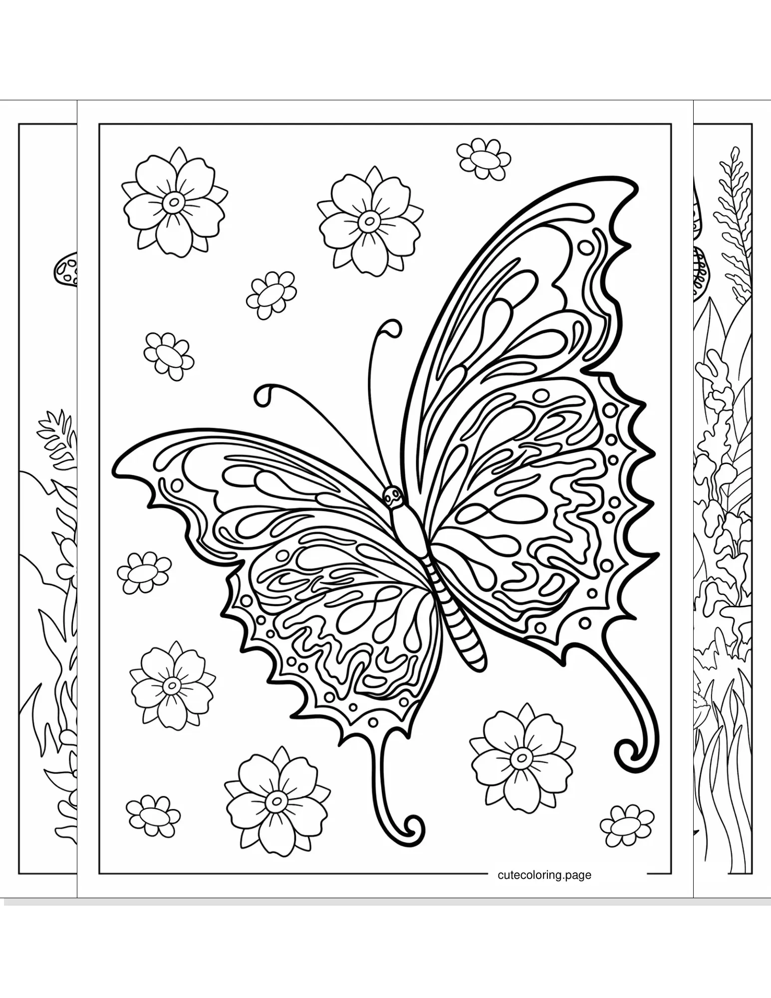 butterfly coloring pages