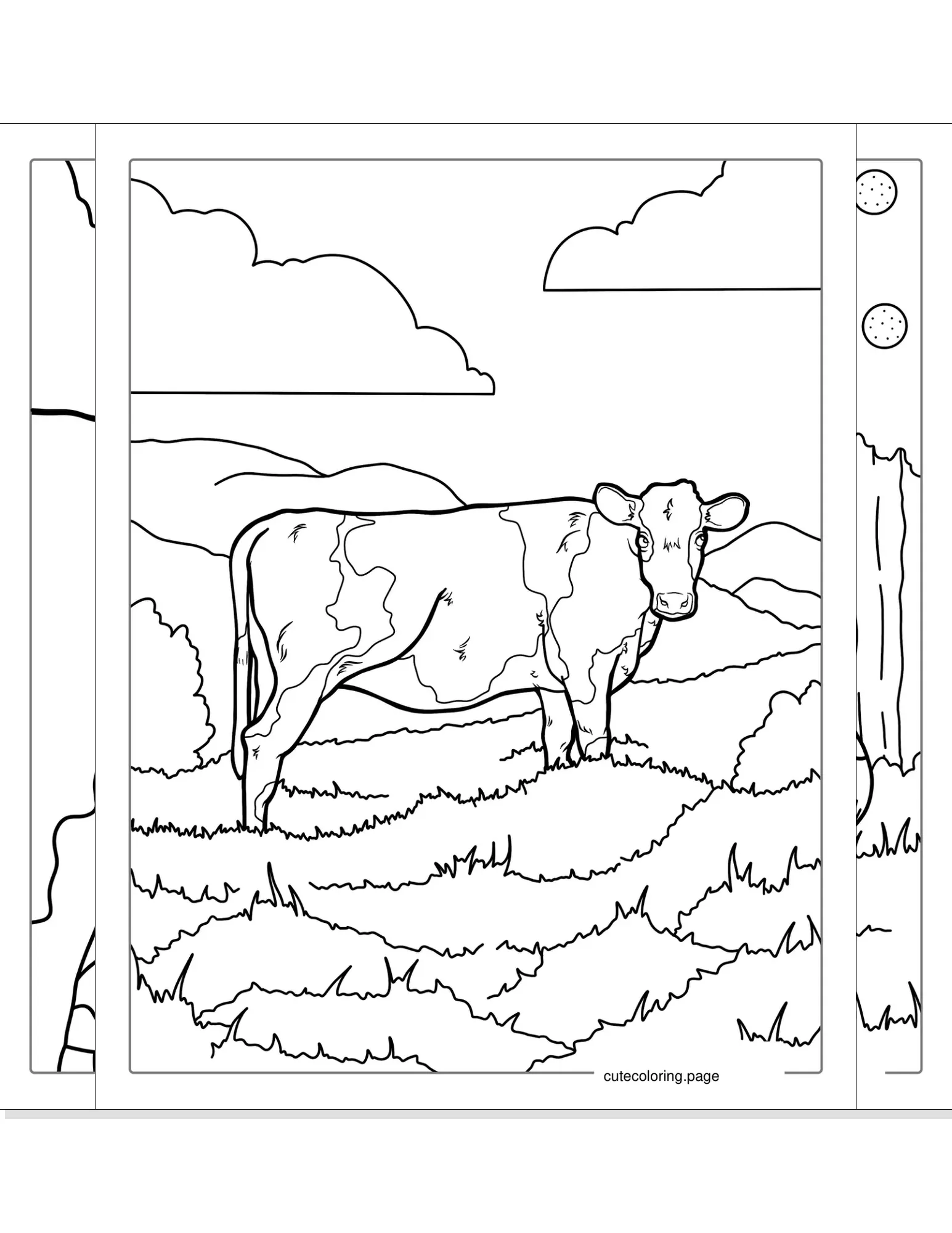 cow coloring pages