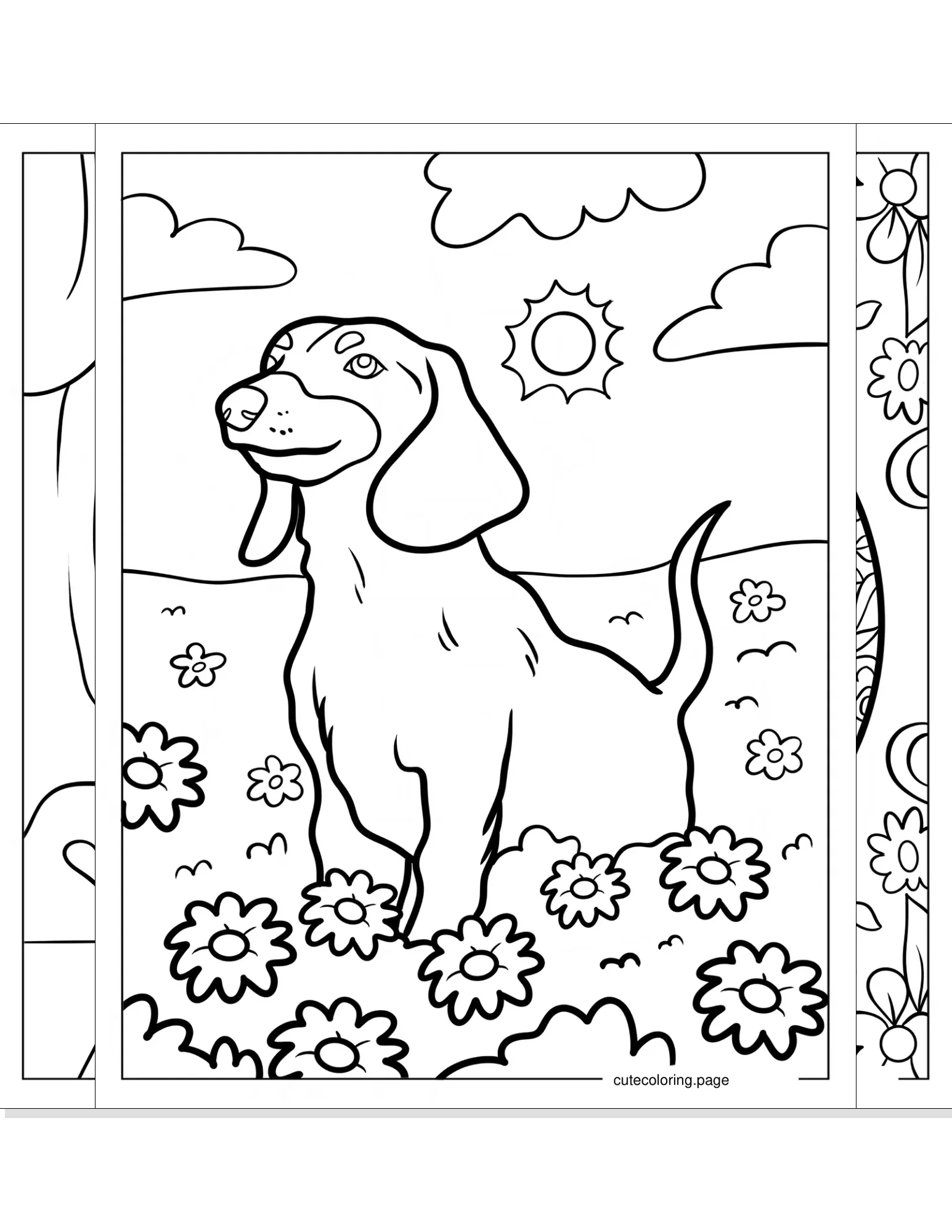 dachshund coloring pages