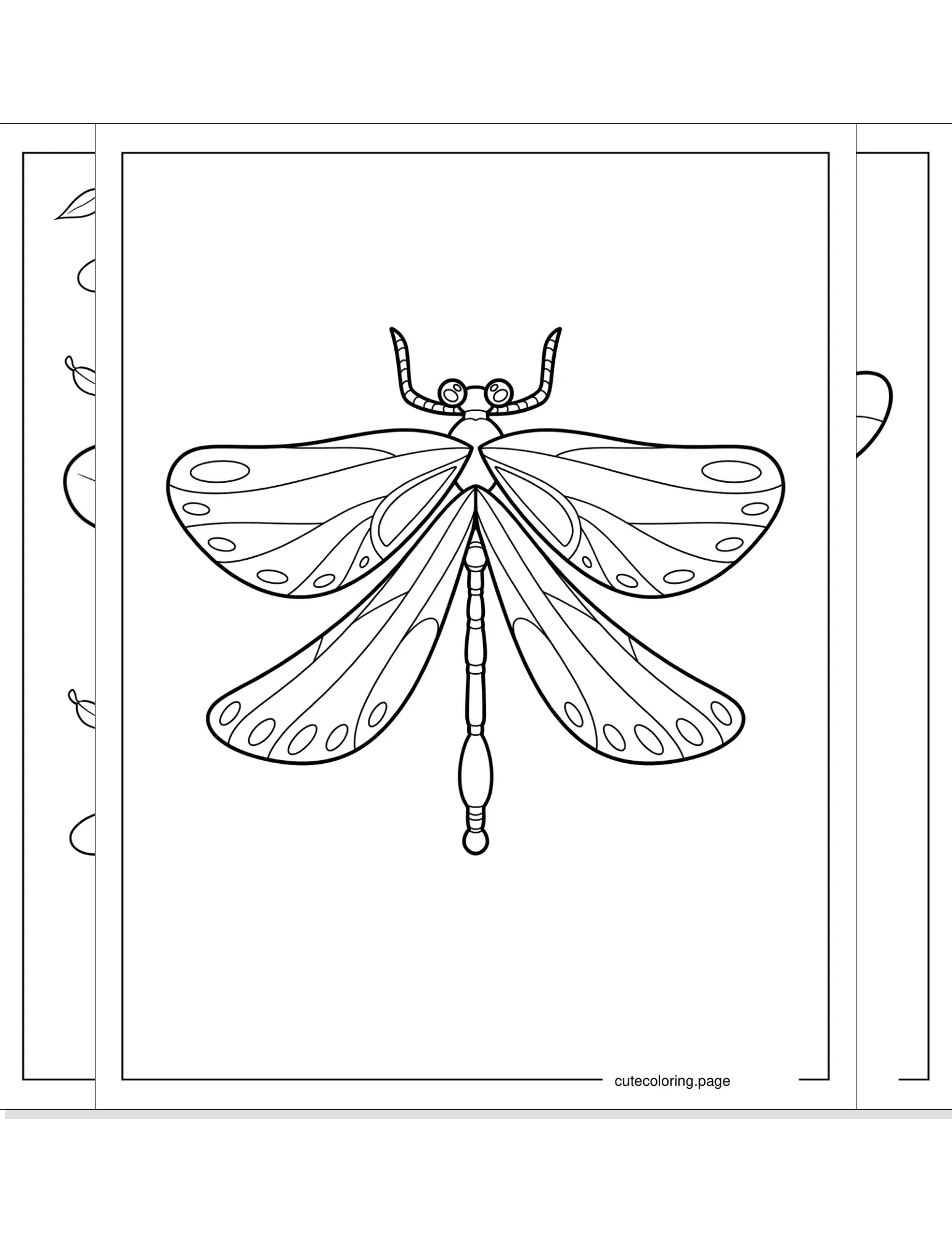 dragonfly coloring pages