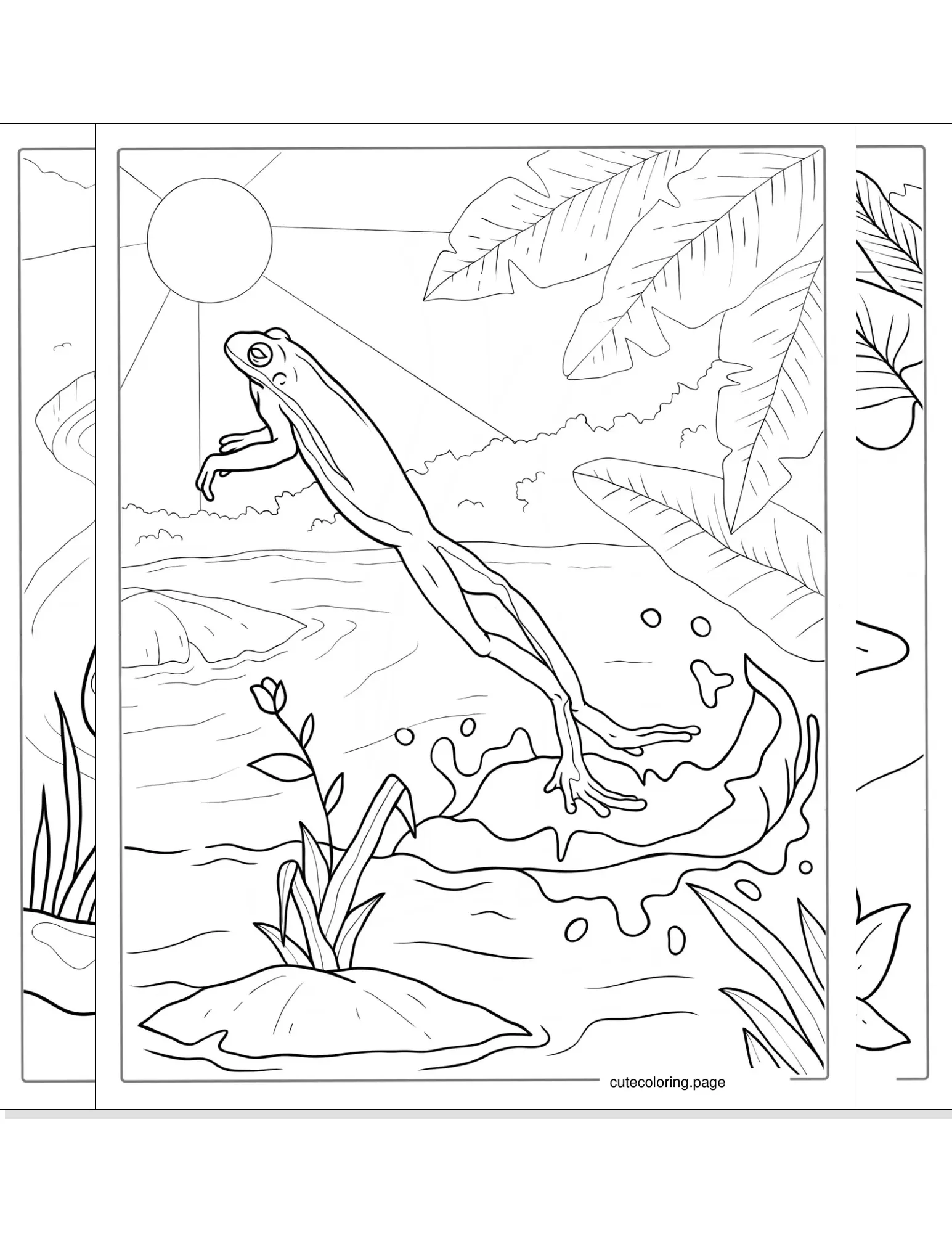 frog coloring pages