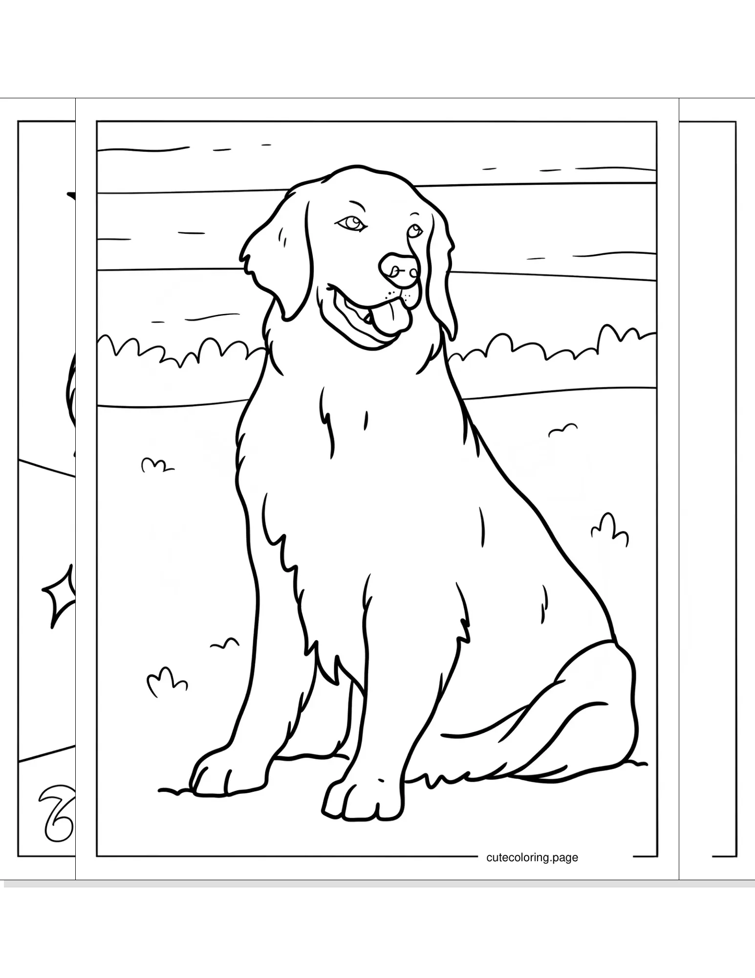 golden retriever coloring pages