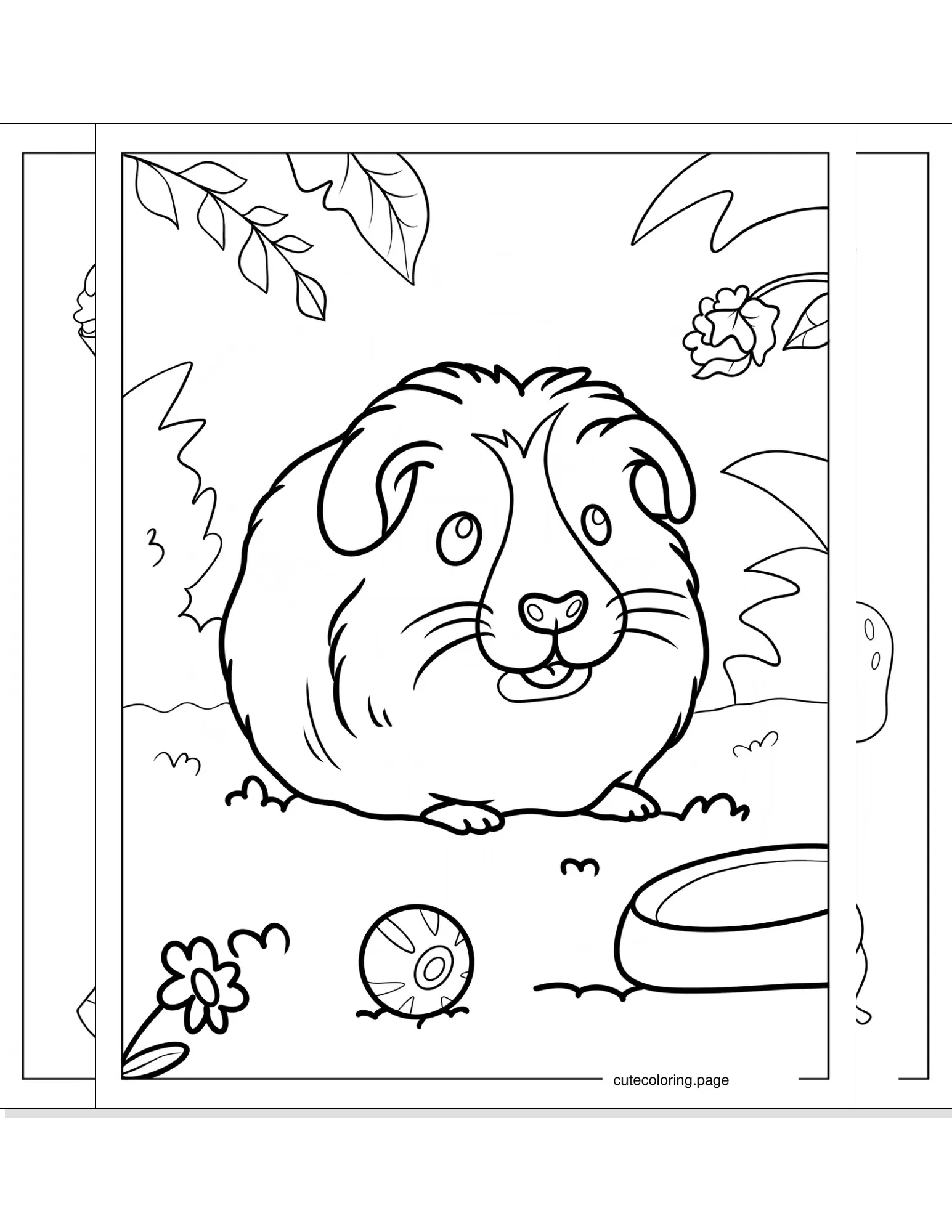 guinea pig coloring pages