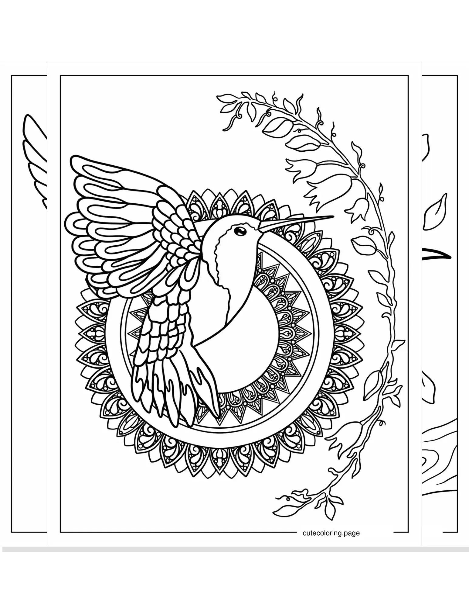 hummingbird coloring pages