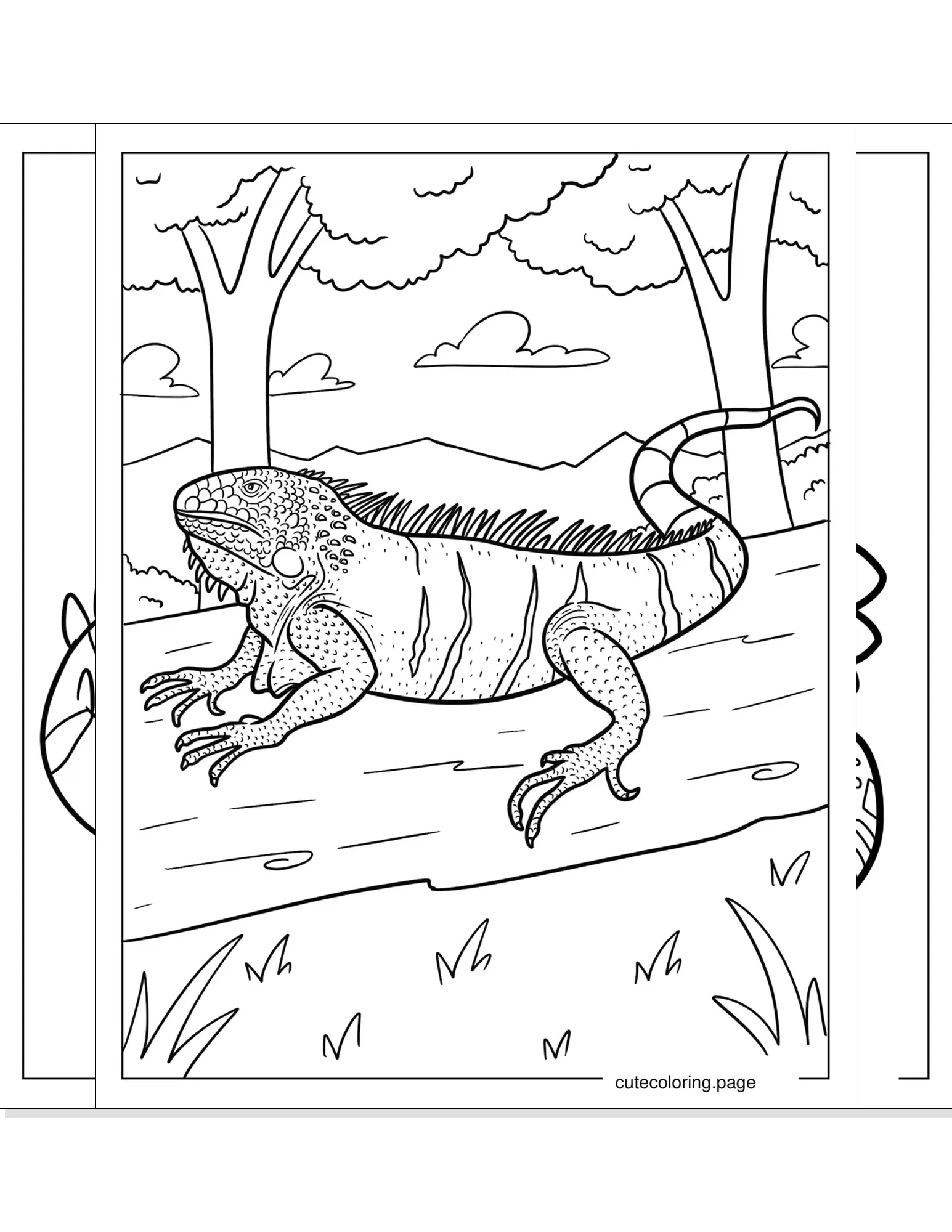 iguana coloring pages