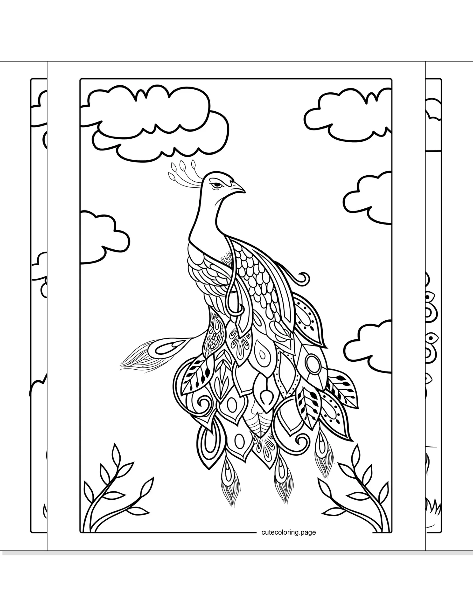 peacock coloring pages