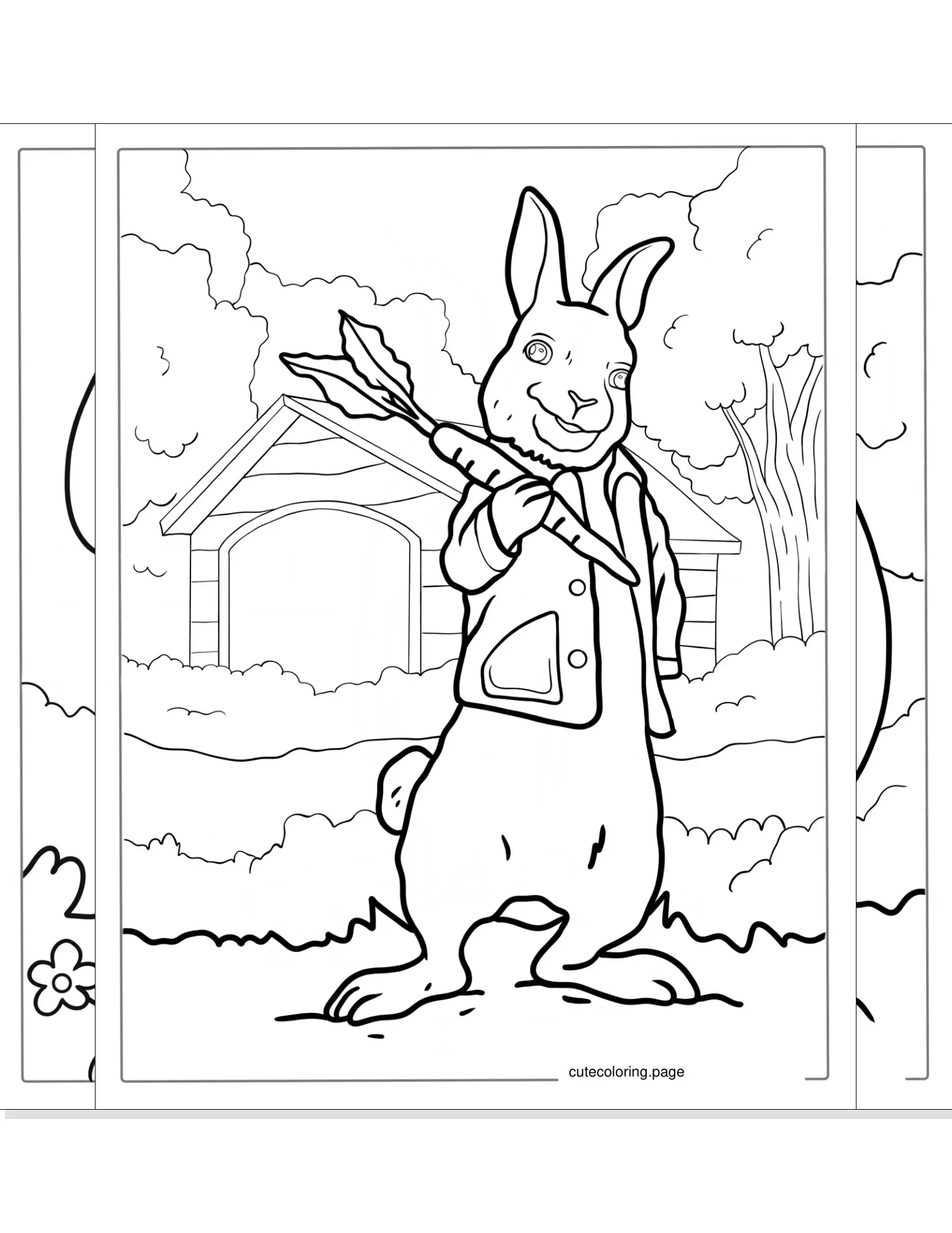 rabbit coloring pages