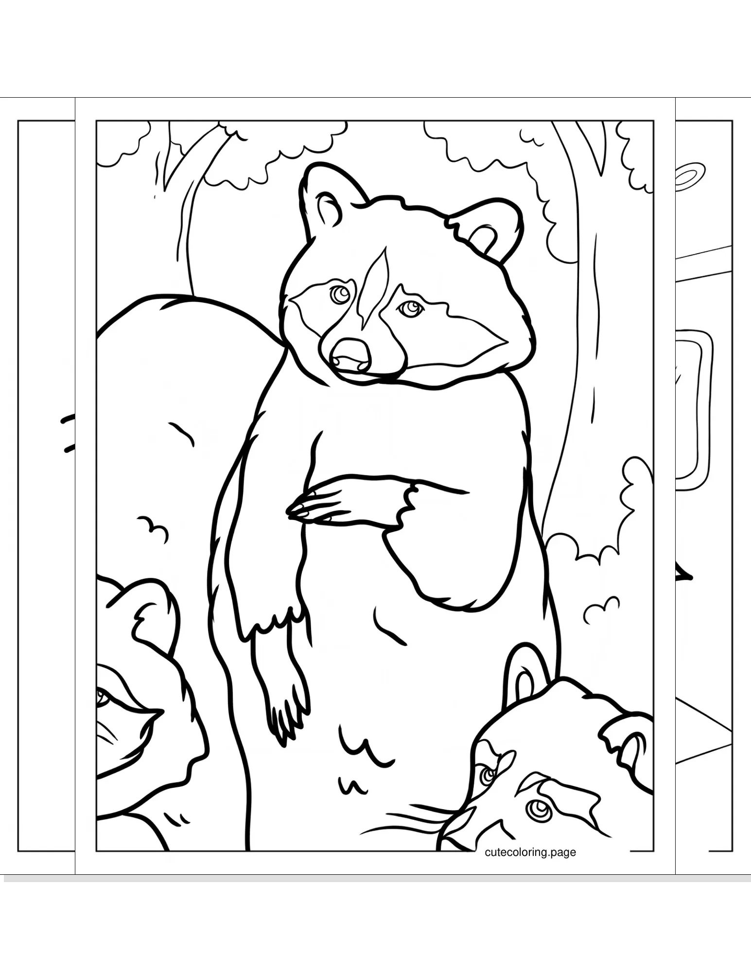 racoon coloring pages