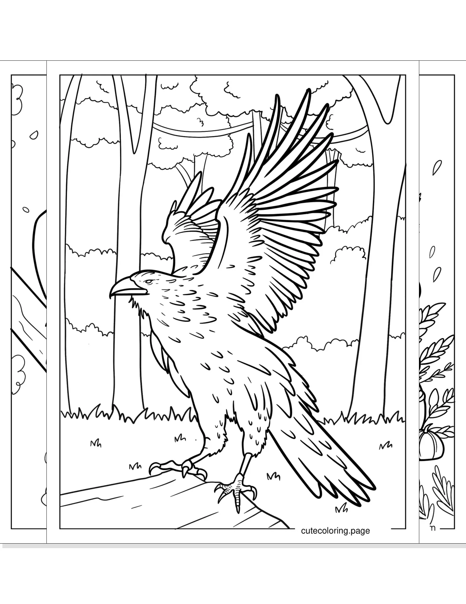 raven coloring pages