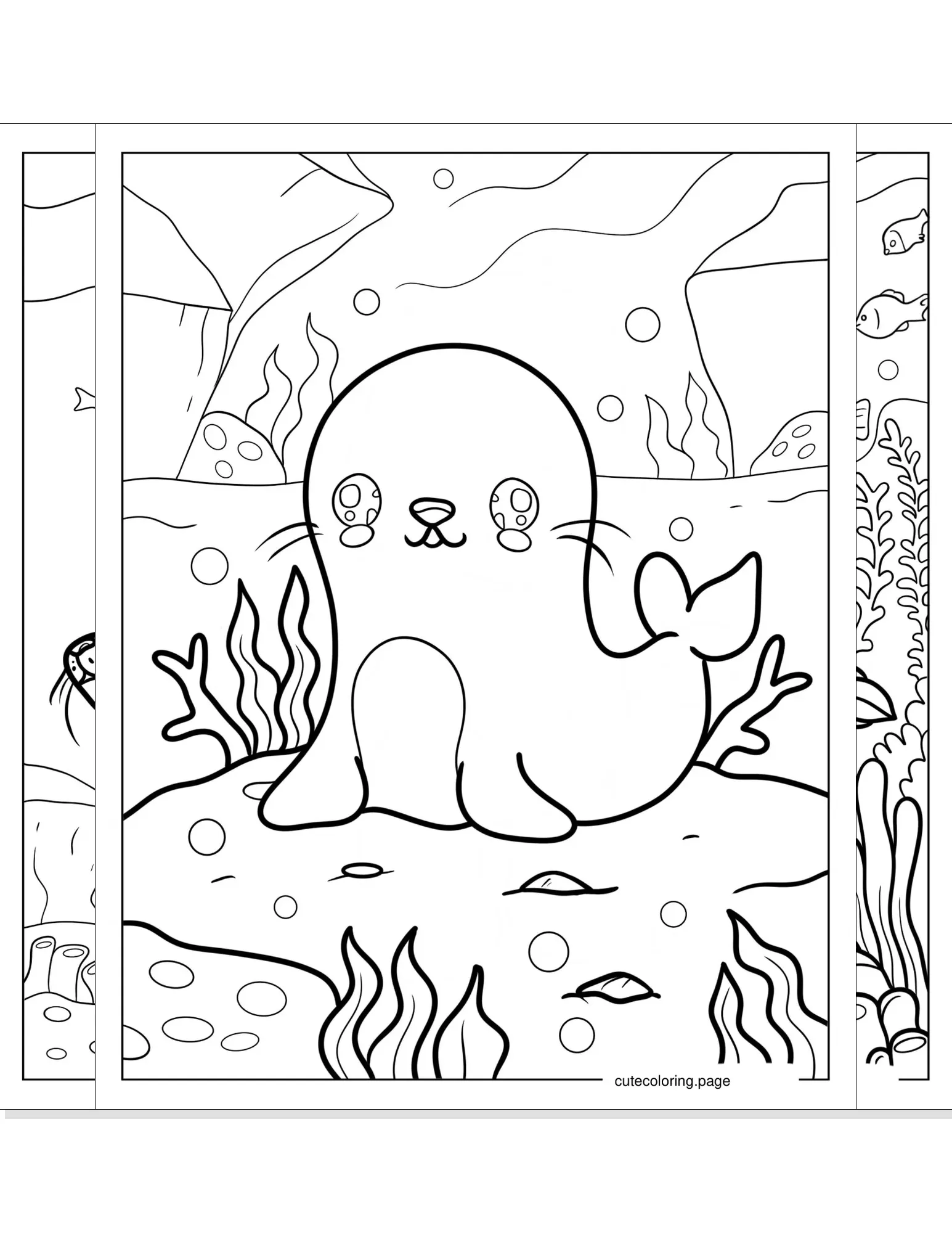 seal coloring pages