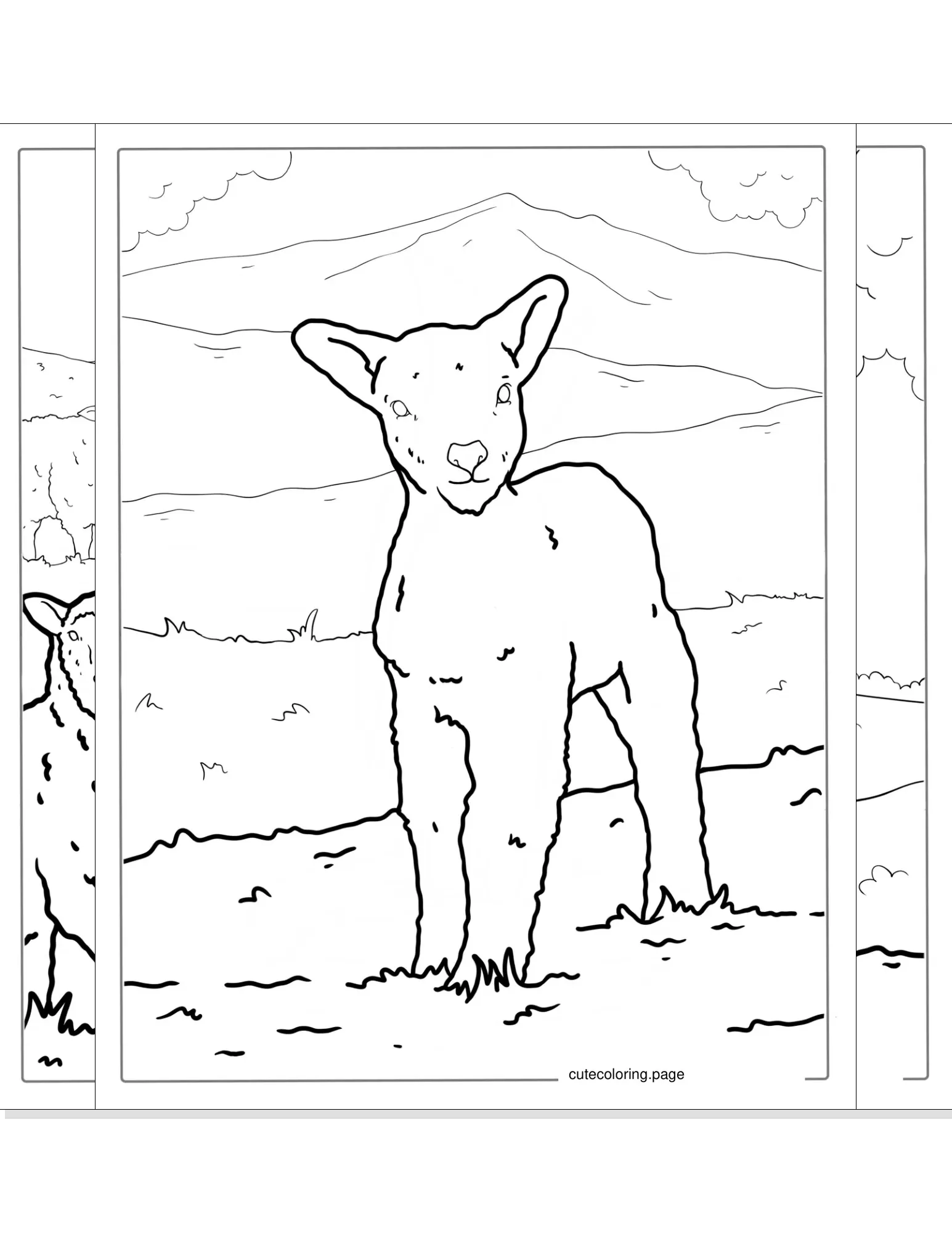 sheep coloring pages