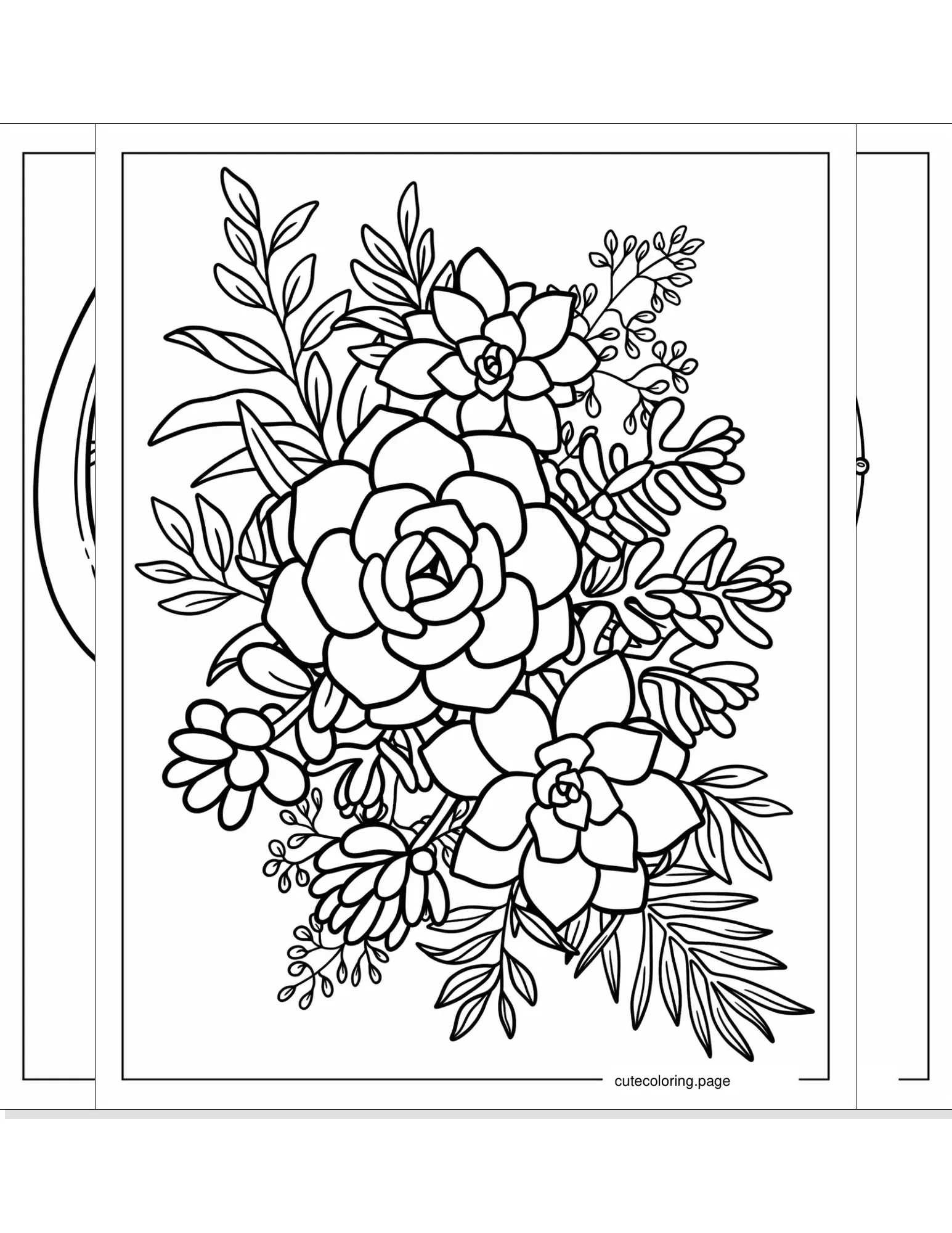 succulent coloring pages