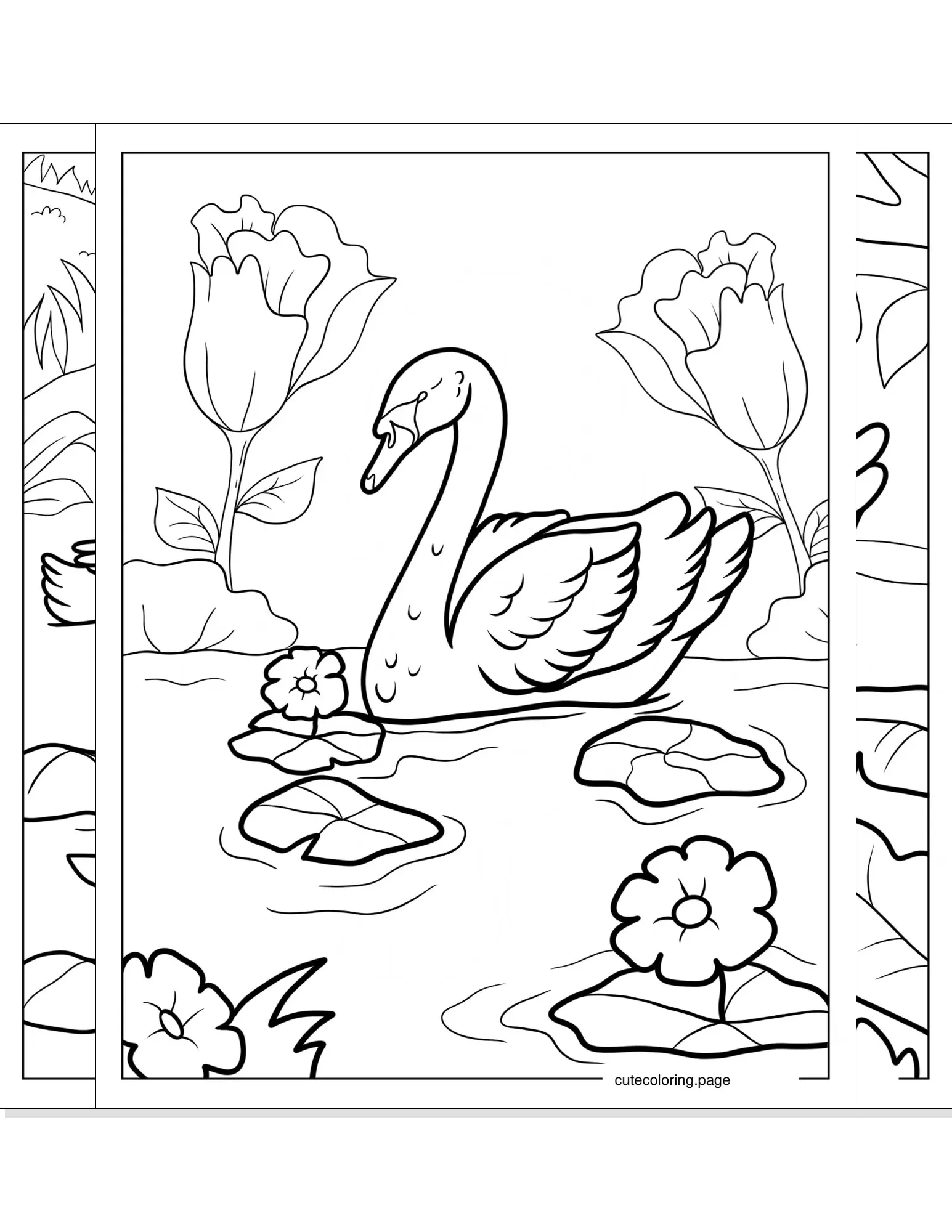 swan coloring pages