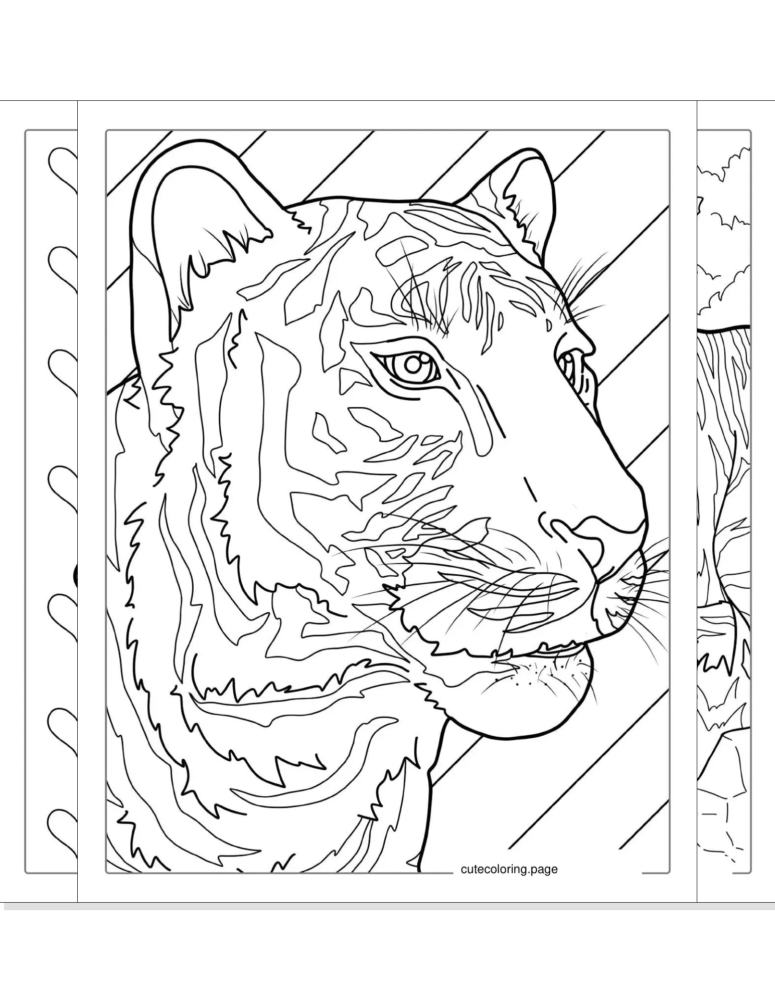 tiger coloring pages