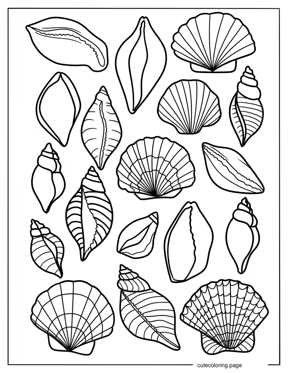 Full Page Realistic Seashells Coloring Sheet coloring page